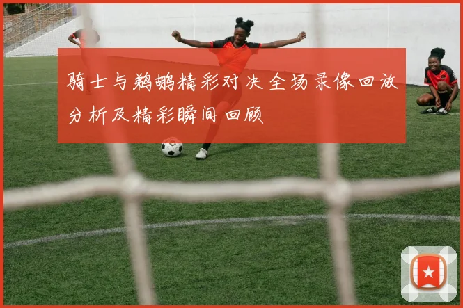 骑士与鹈鹕精彩对决全场录像回放分析及精彩瞬间回顾