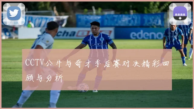 CCTV公牛与奇才季后赛对决精彩回顾与分析