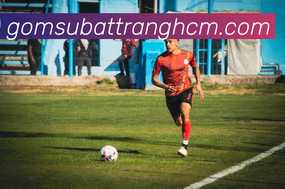 APP界面展示